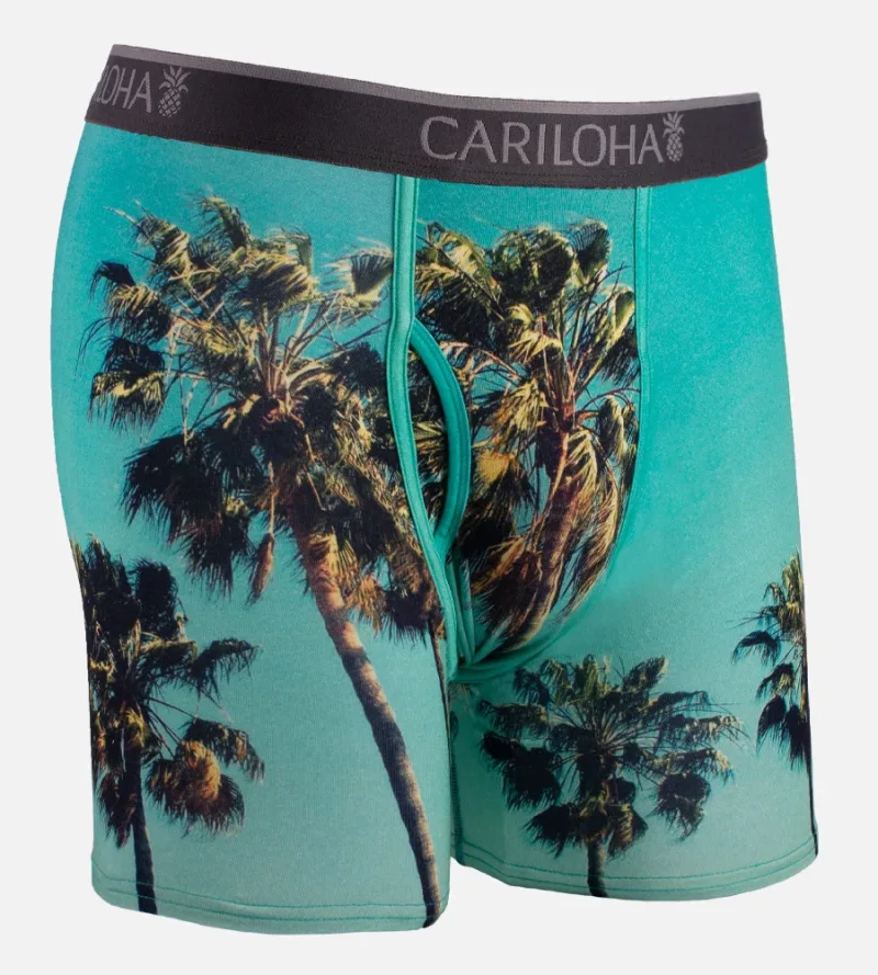 Bamboo Boxer Briefs - Sky Palm